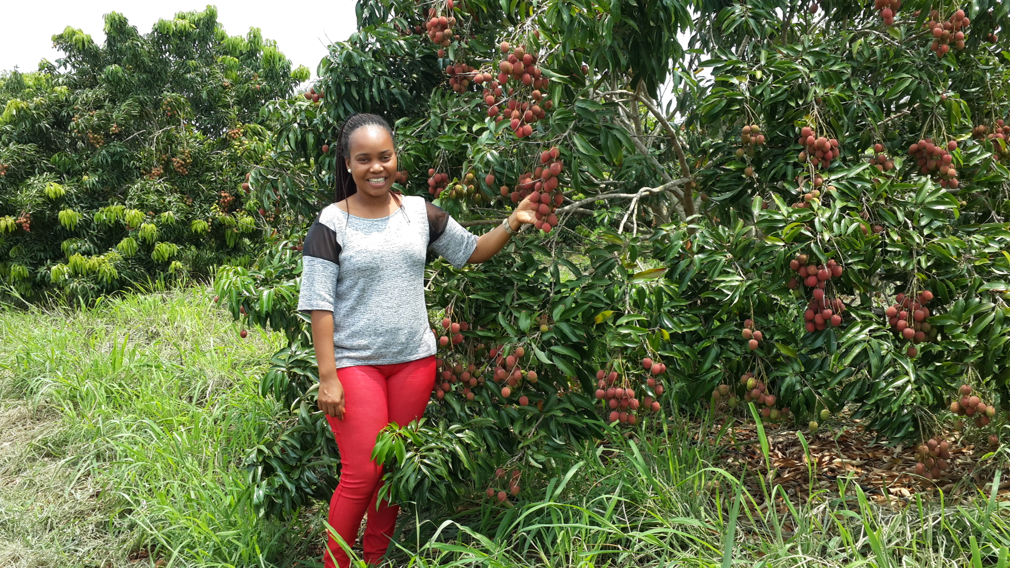 A women with her small business of growing and selling produce.